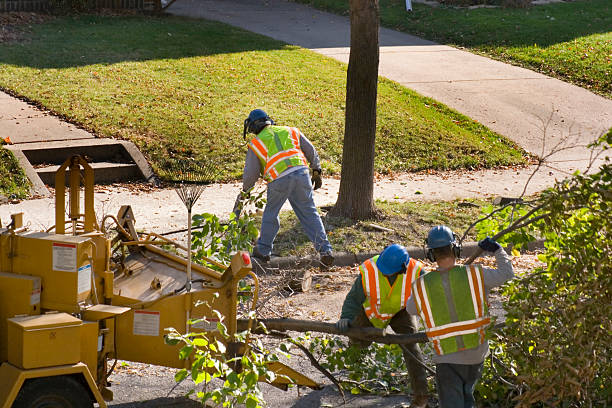 Best Tree Risk Assessment  in Oak Harbor, OH